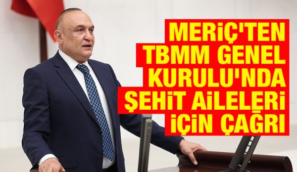 Meriç’ten TBMM Genel Kurulu’nda şehit aileleri için çağrı